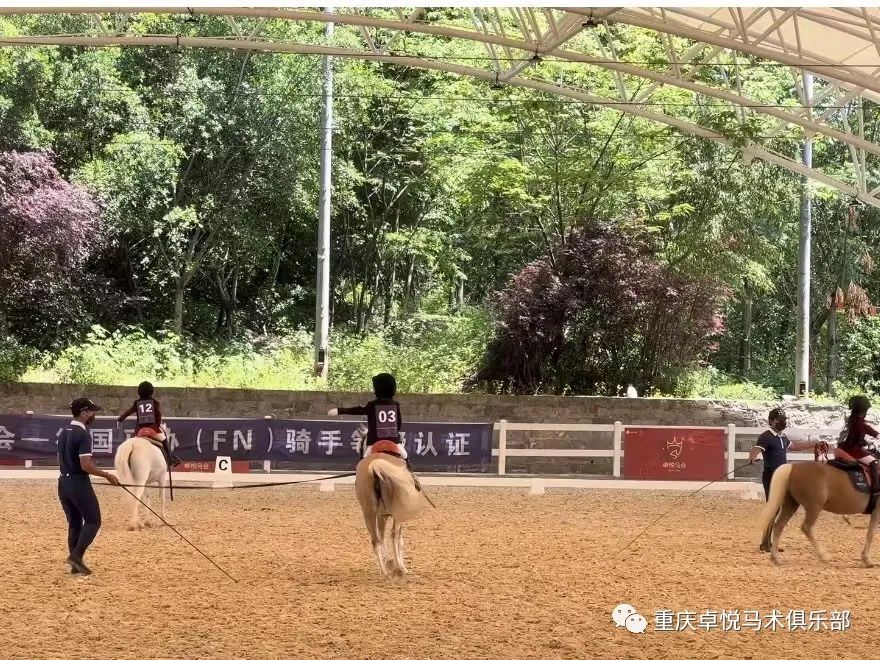 卓悅馬會(huì)丨德國(guó)（FN）騎手等級認證